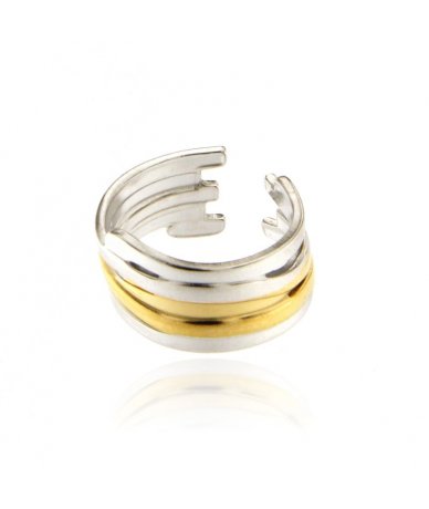 Anello bicolore fascia...