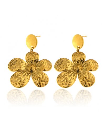 Orecchini in acciaio inox...