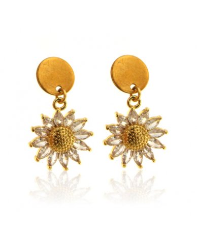 Orecchini in acciaio inox...